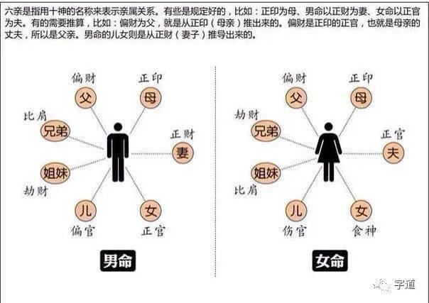 十神生克关系图图片