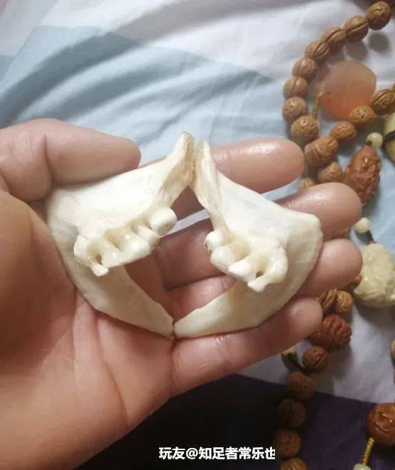 看这位勇士整的这玩意儿,鱼牙,鱼惊石!