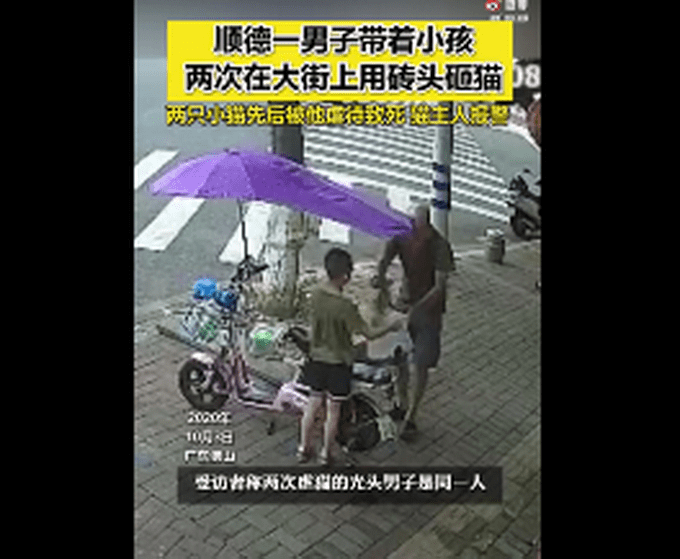 警方调查男子带着小孩虐猫,监控曝光恐怖一幕,网友怒了!