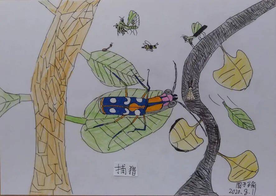 卧蚕怎么画自然学生 4d54f681db7e4d02b59248bee4562718.jpeg