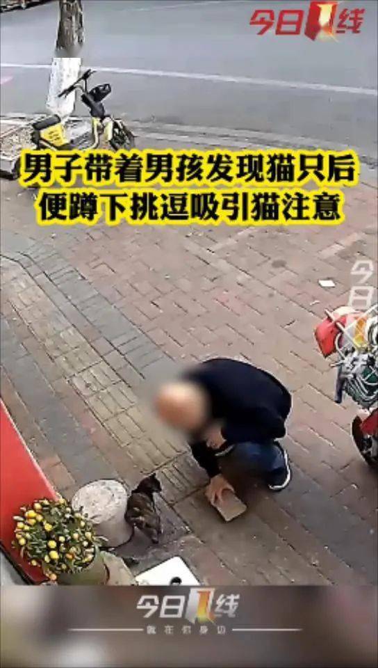 男子在孩子面前多次残忍虐猫,孩子的反应令人.