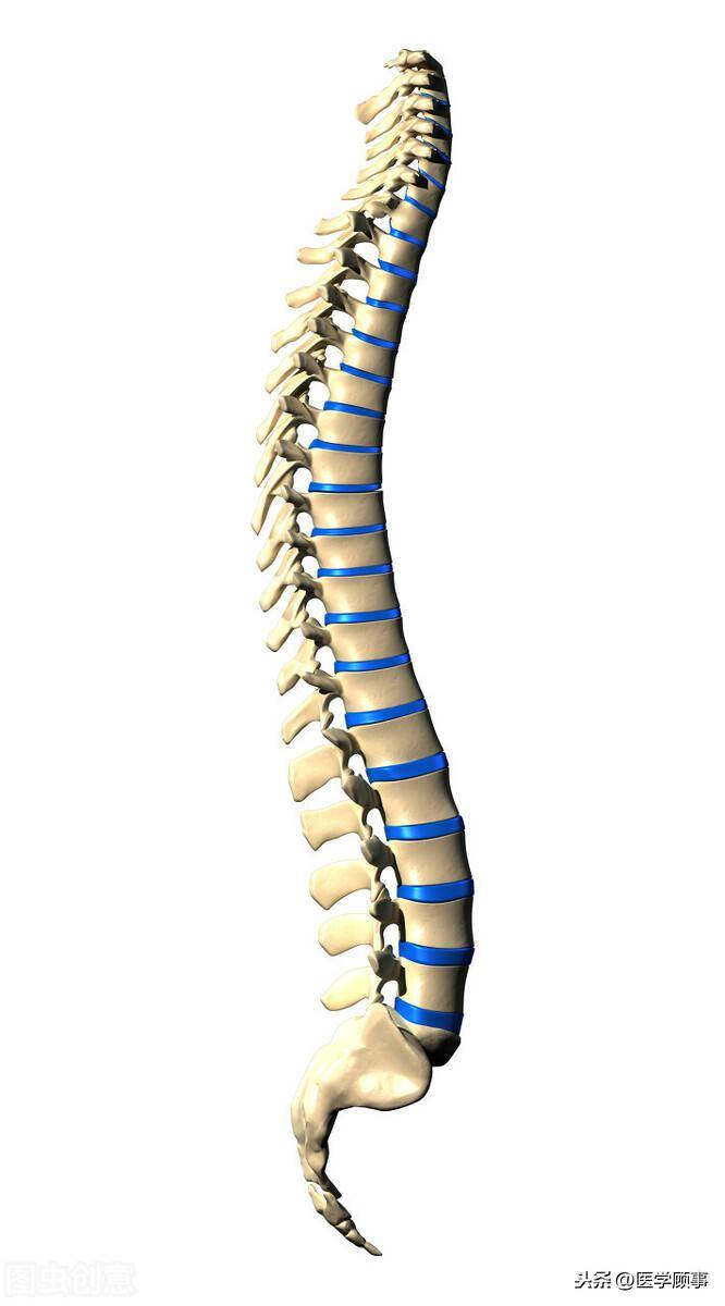 椎管内静脉高压综合征的诊治