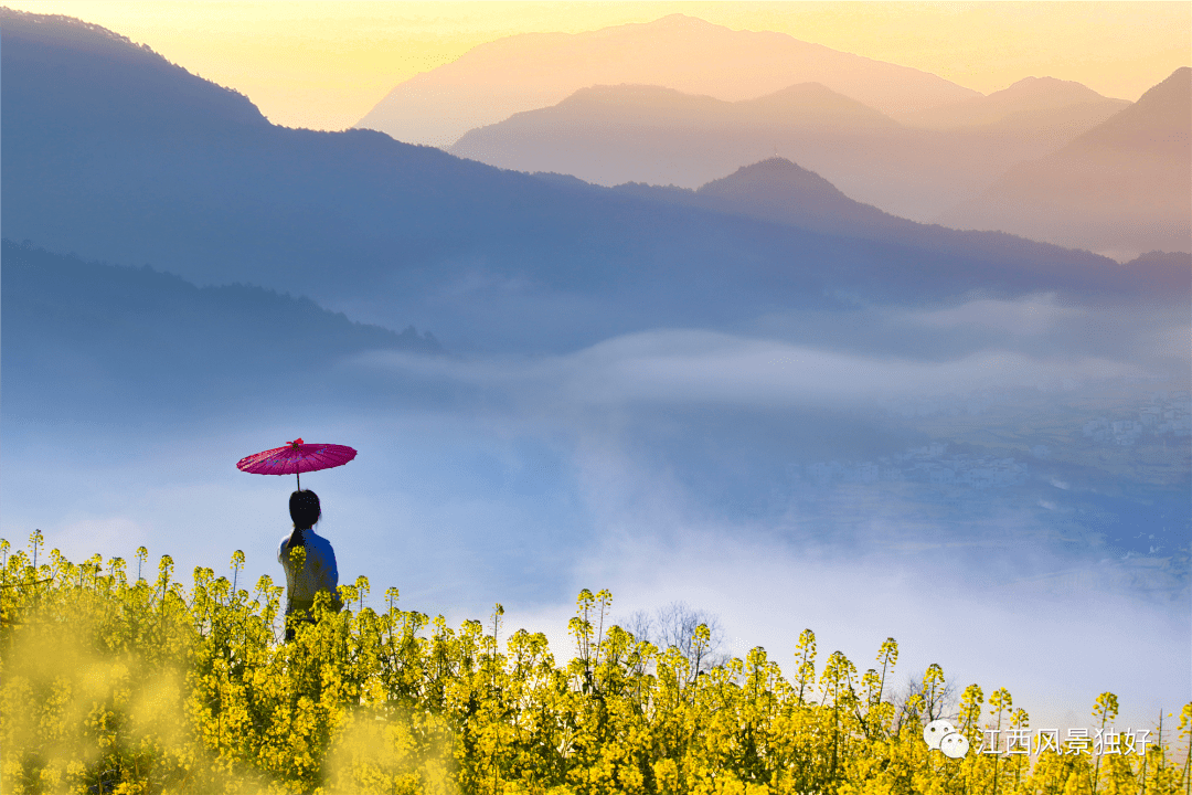 为啥叫春天 7aac2850bf574c978a5f196b55037108.png