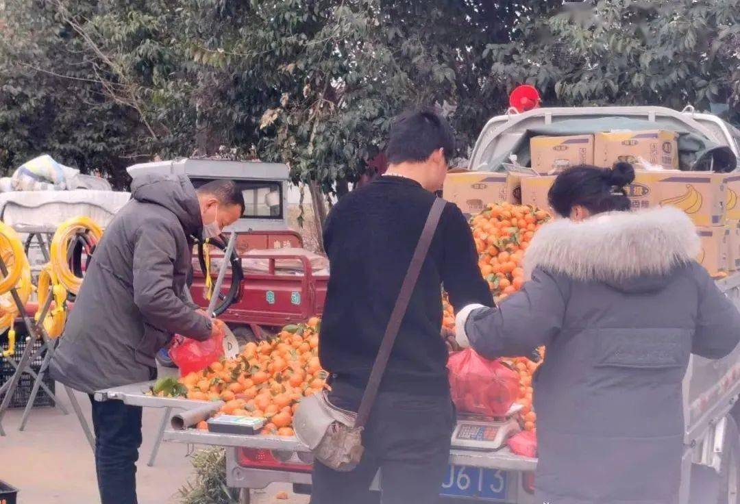 新蔡县有多少人口_新蔡县有多少人