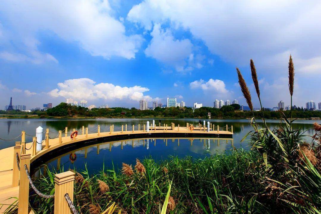春节打卡去！广东新增4处国家湿地公园