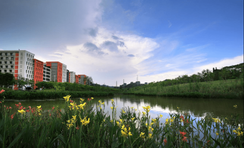 广东新增4个“国字号”湿地公园，总数达27个