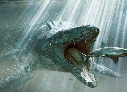 完齿猪,亦称作弓颌猪,远古时期巨猪家族中的一员.