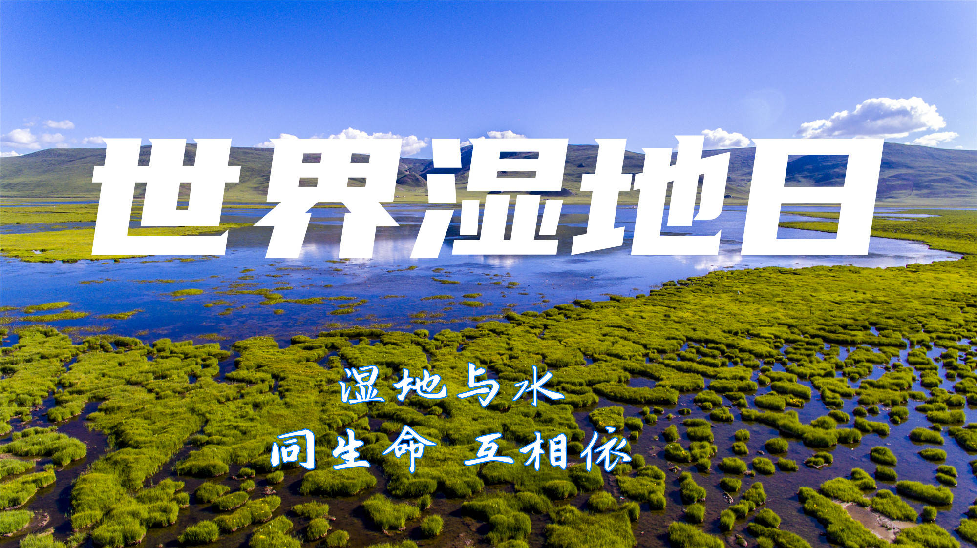 中国在三江源全力保护“地球之肾”