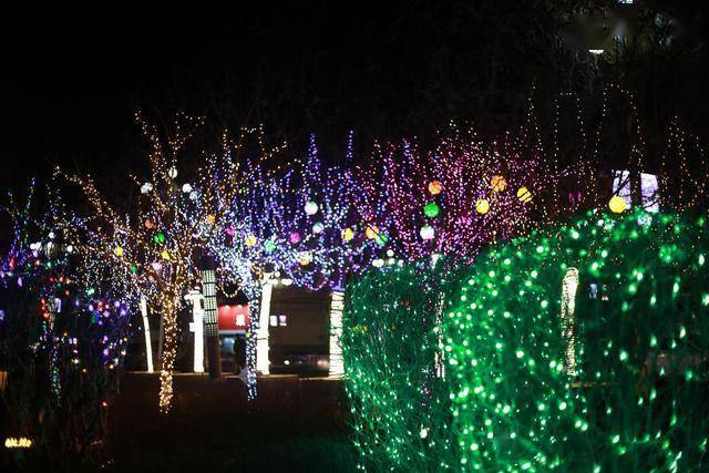 晚上七八点钟,通渭县文化广场就到了最热闹的时候.