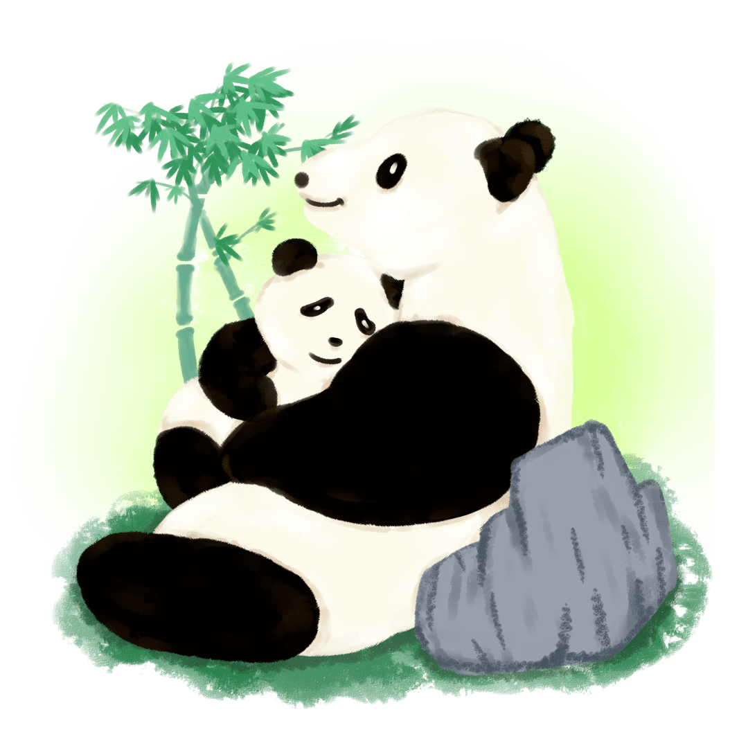 大熊猫Q&A丨为什么大熊猫生双胞胎的概率要比单胎大？_搜狐网