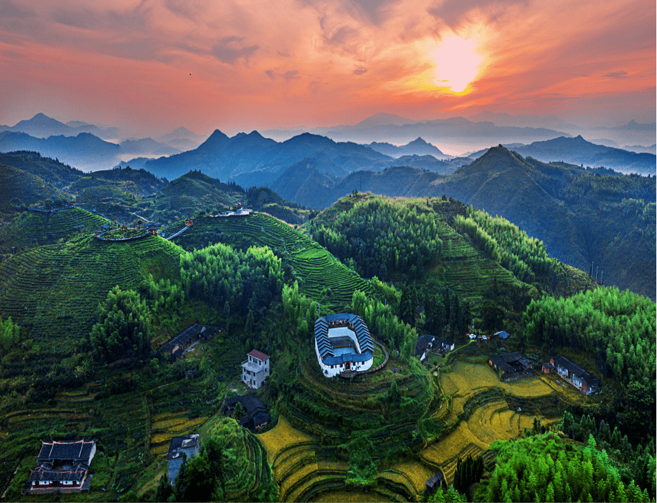 大田仙居山樱花茶天下美人一日游