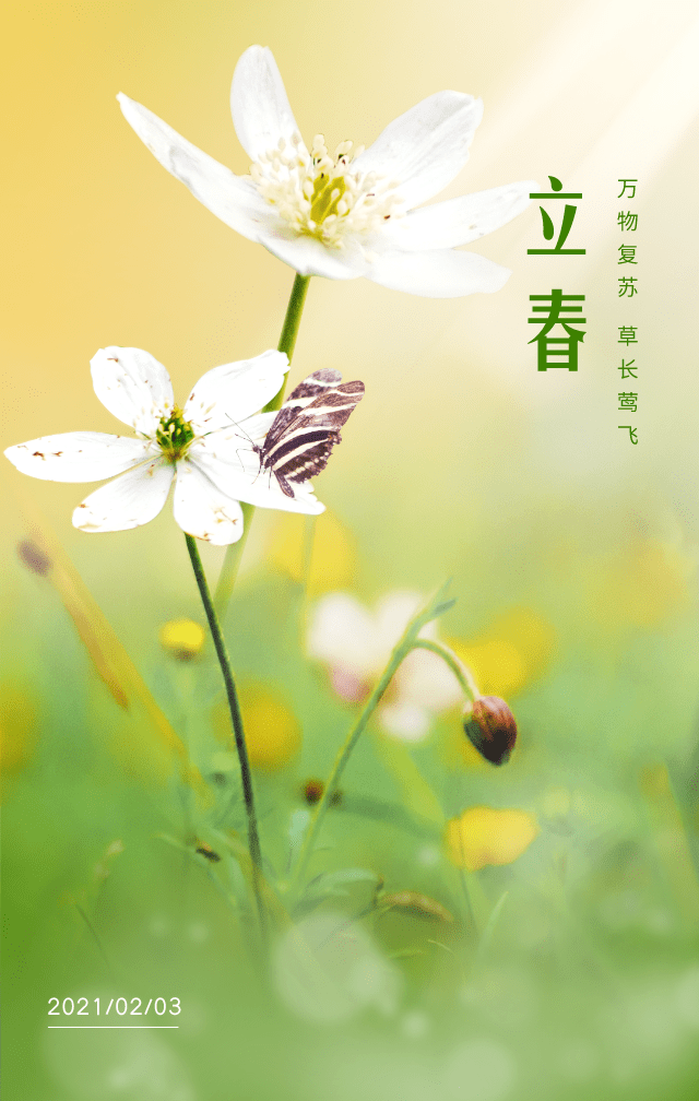 209db45cd47f4201965c4c3fd9eadeb1.png