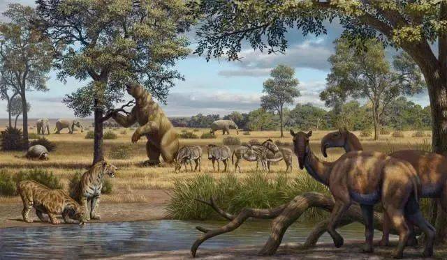 恐龙之后的五大陆地巨型生物这些怪兽你一定没见过