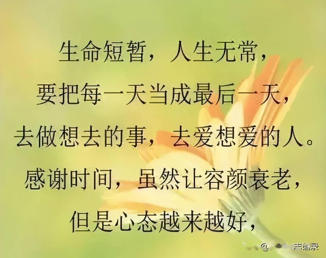 6b81c2f53ecf47dfbc68ec29368e7cdb.jpeg