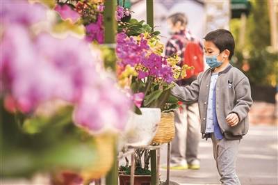 花店招聘信息_爱思妮花店招聘易拉宝设计下载图片(3)