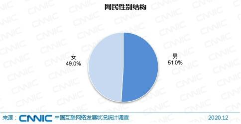 中国男女老年人口比例_老年人口比例图(3)