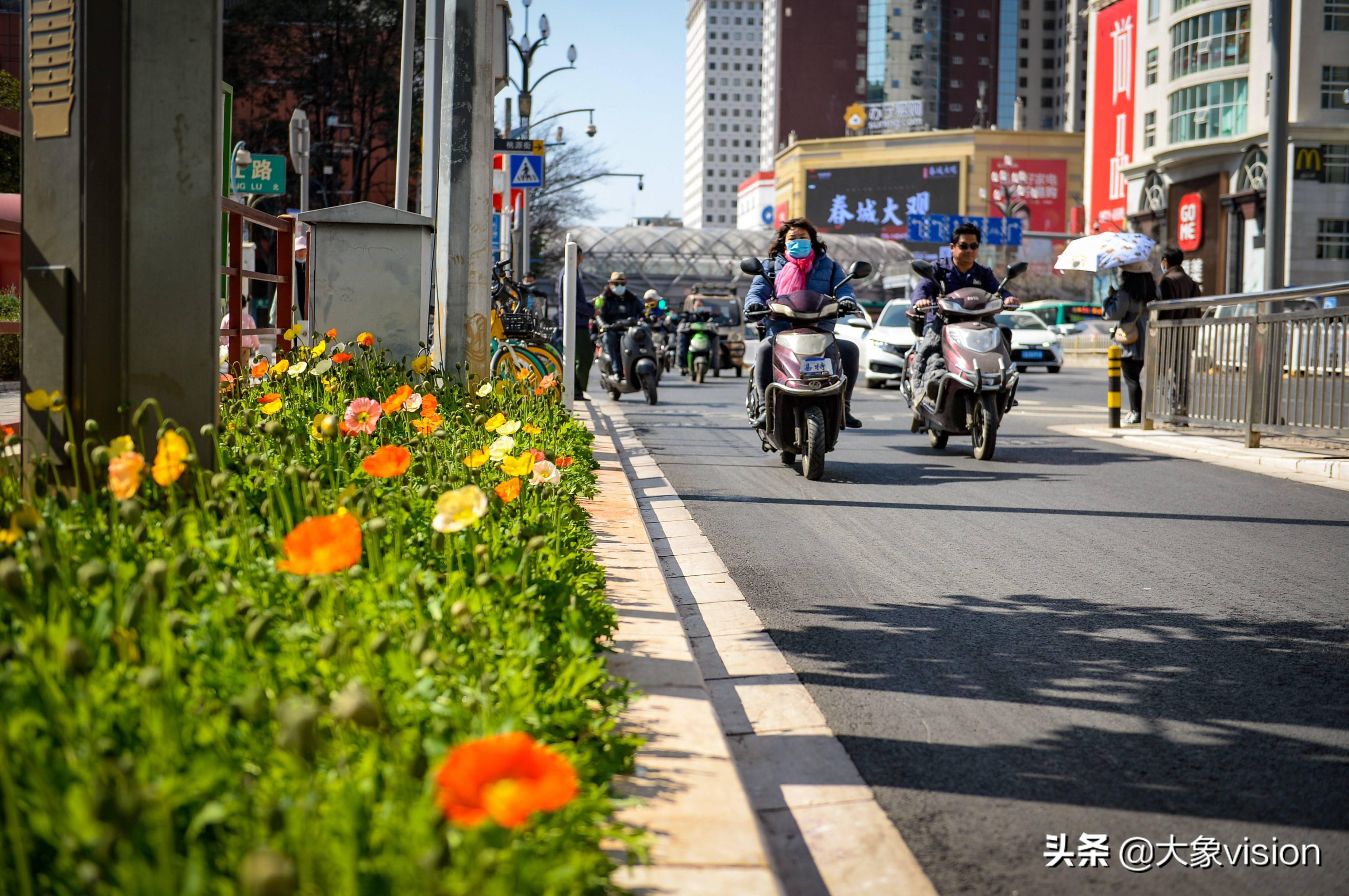 滇池路尽显南国风情这两年,昆明市民出行最大的感受是到处在修路,按照