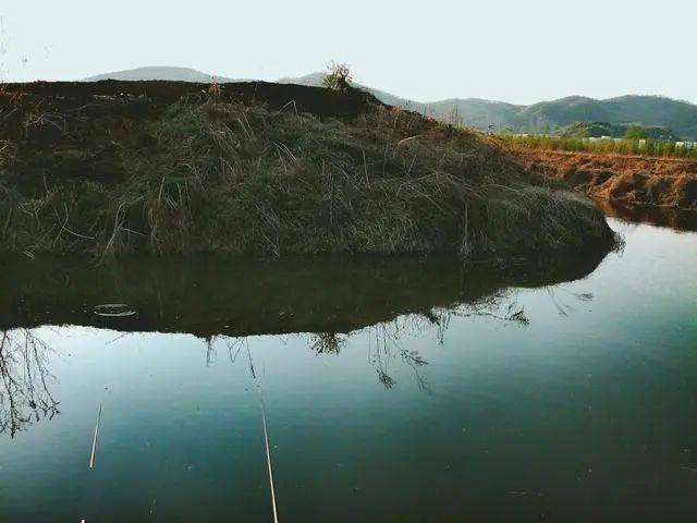 fd8a4d811cd24797b6b9aa78212847c1.jpeg
