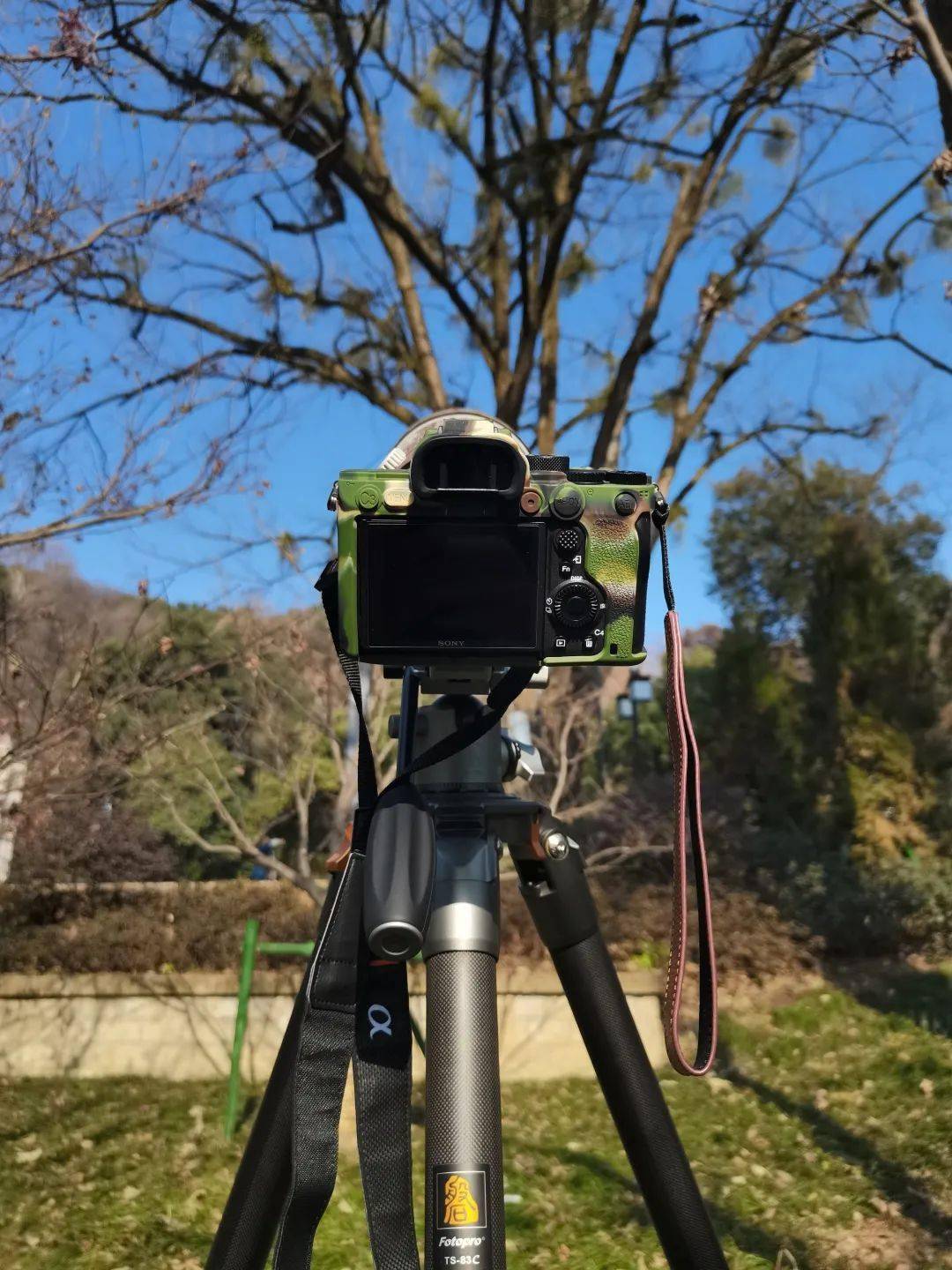 富图宝开启轻盈的拍鸟时代富图宝磐图ts83c