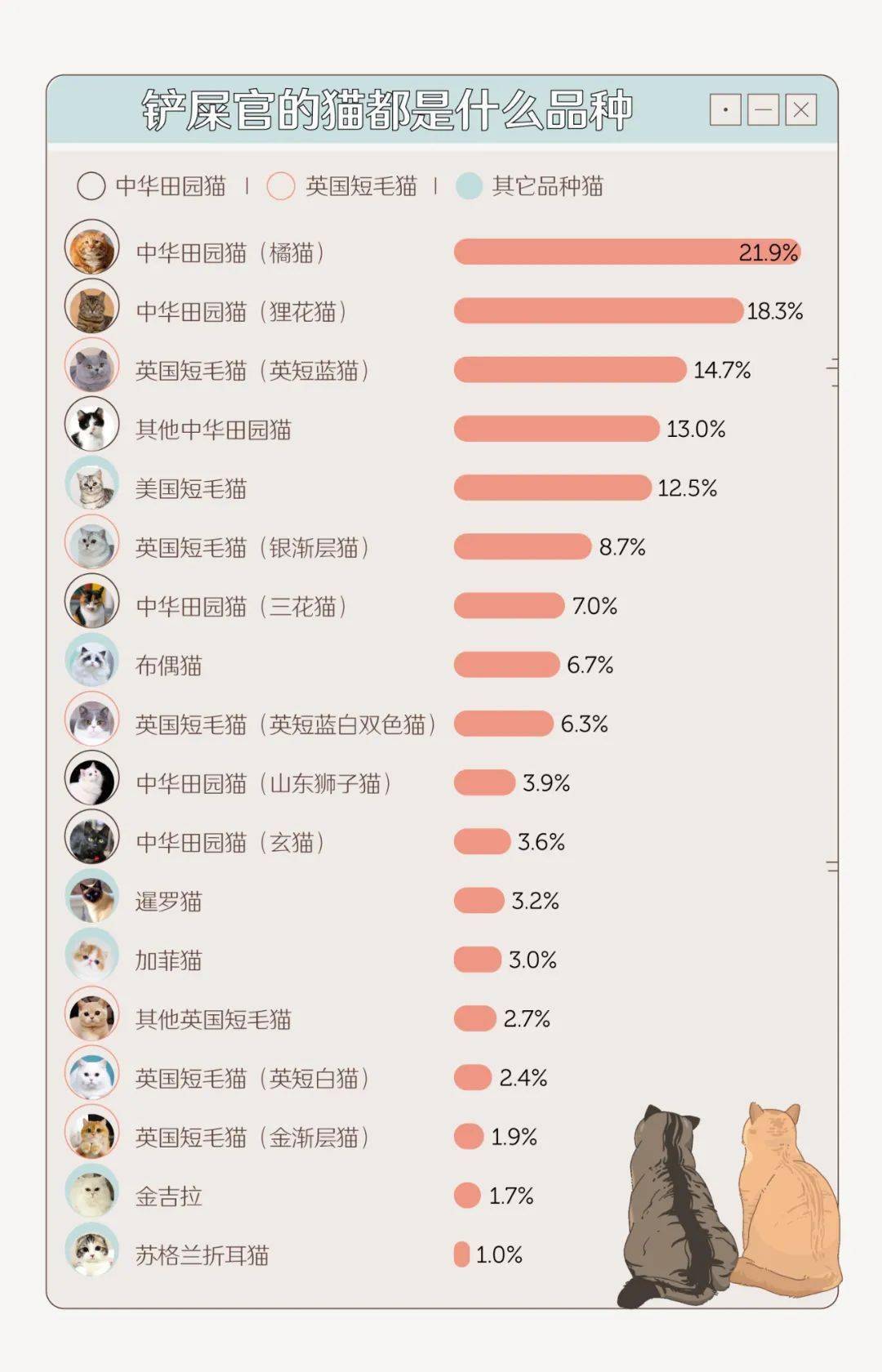 城镇养猫人口_人养猫过敏出红疹图(2)
