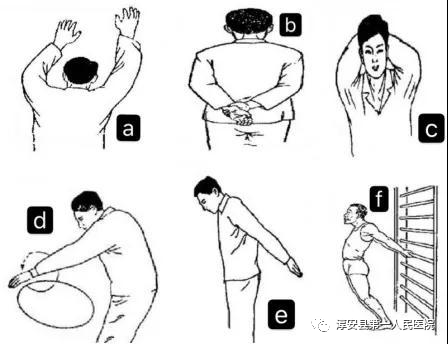 肩袖损伤锻炼方法图解图片