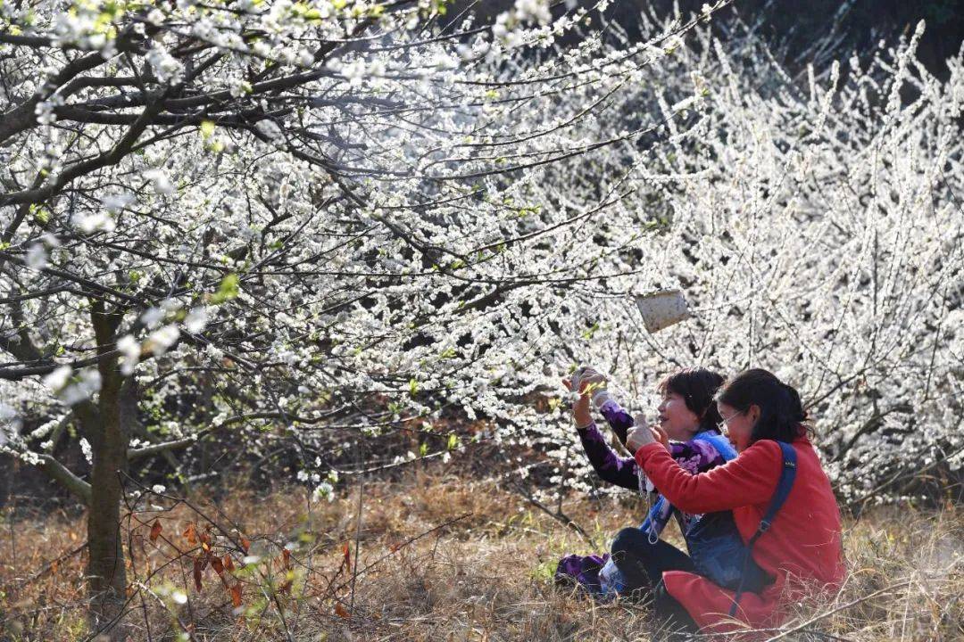 如蜜人口_人口普查