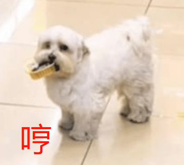 主人逛超市忘記給它買罐罐，狗子回頭怒瞪：我自己拿！ 萌趣萌寵 第3张