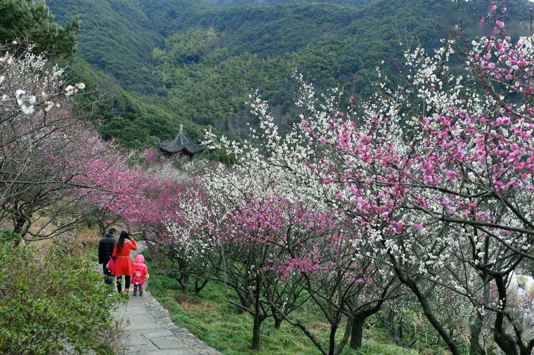 梅花山旅游区：七大绝美景点，哪个让你心动？