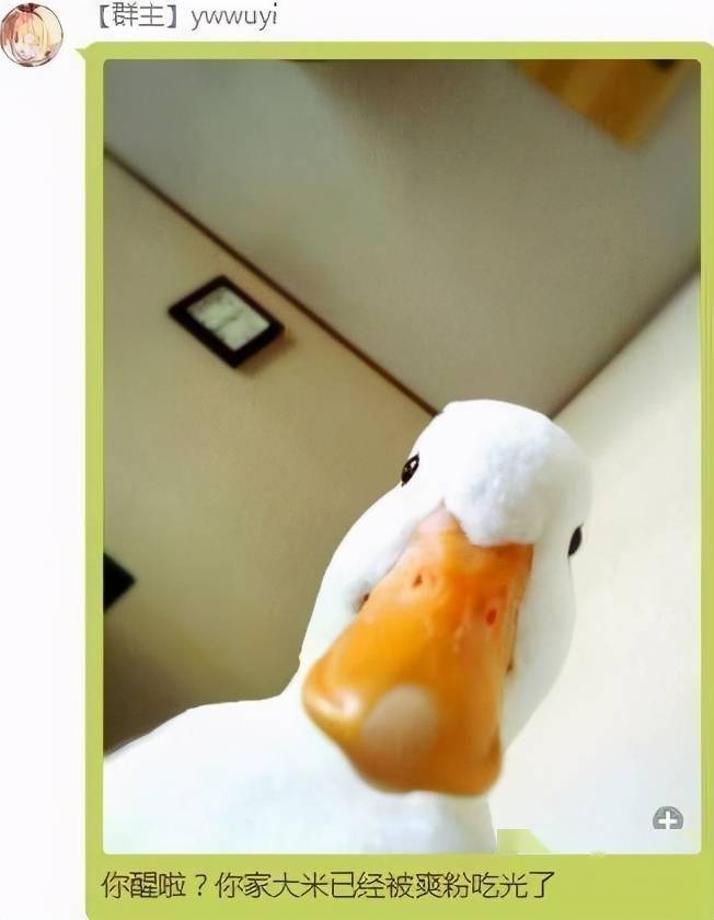 不露脸零播百舰vtb诞生,"处男领袖"ywwuyi何许人也?