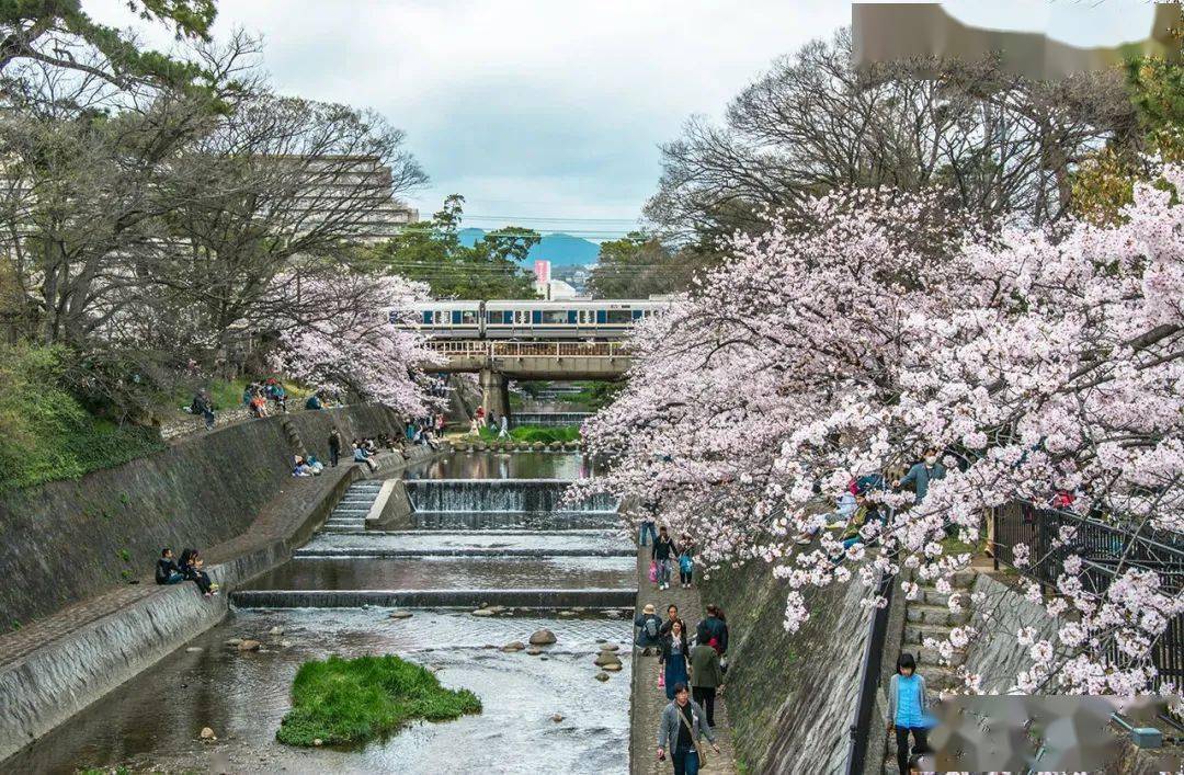 西宫市人口_日本西宫市地图