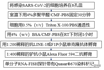 0792deb335f8415aa882e0fee332e6d2.png