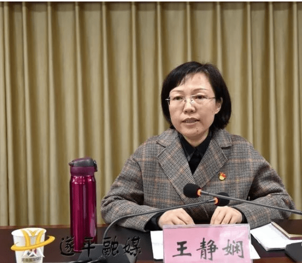 市政务服务和大数据管理局局长王静娴在讲话中对"咱的驻马店"app县区