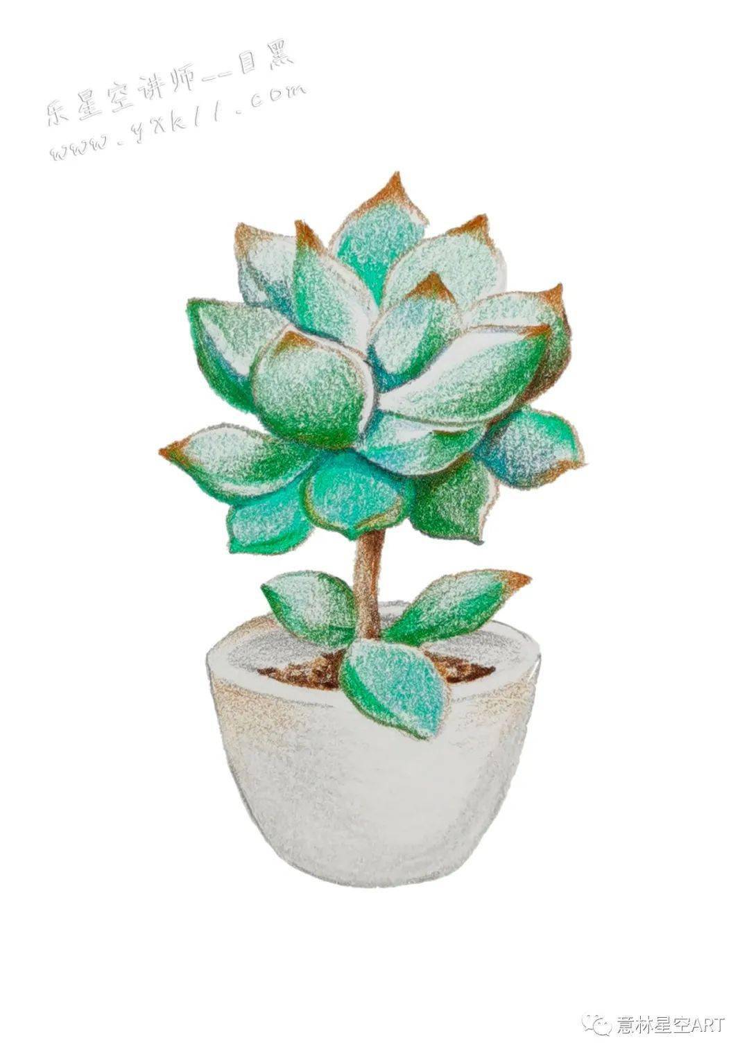 绘画启蒙班丨创意手账之多肉植物组合
