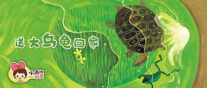 睡前故事送大乌龟回家
