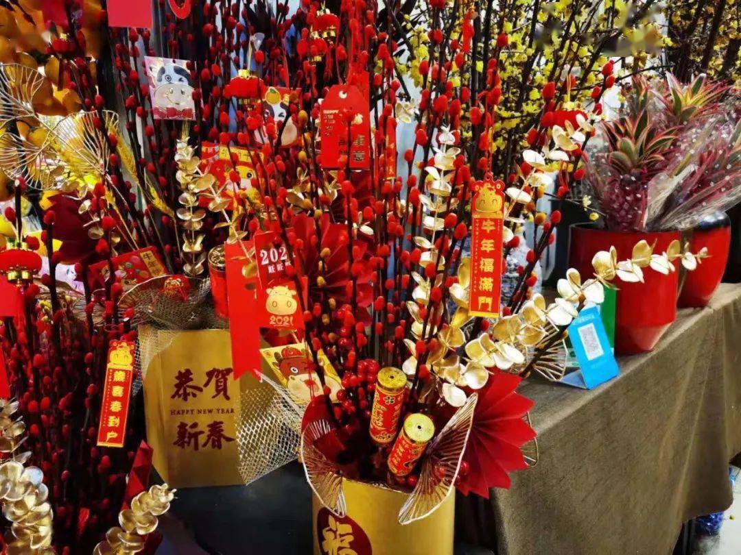 春节买花哪里去来看看程桥附近这些花市