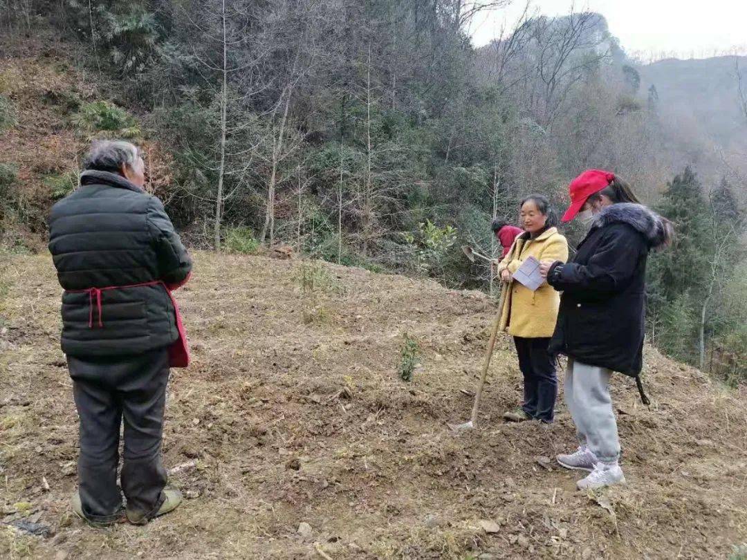 房石镇人口_房石九年制学校图片