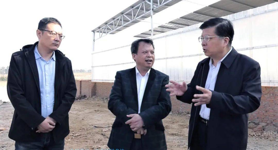 覃森到上思县重点项目现场办公