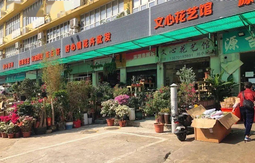 深圳市南山区沙河西路4811号深港花卉中心都惬意极了不论是自己来