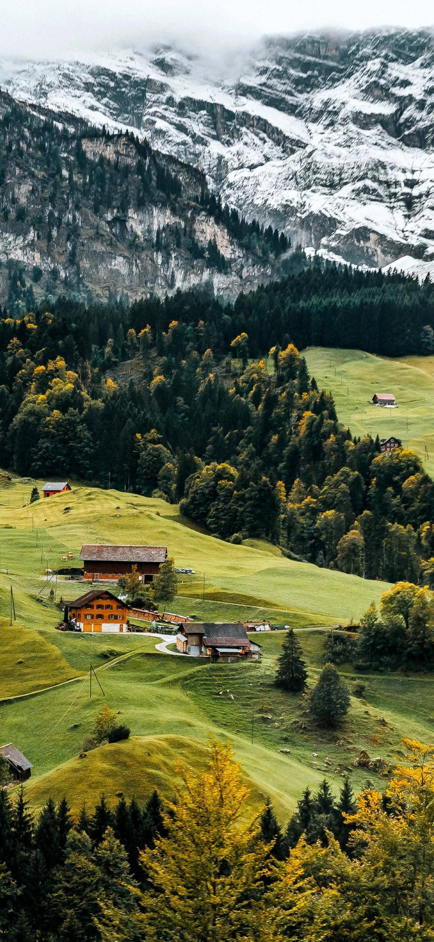 1440_3120竖版 竖屏