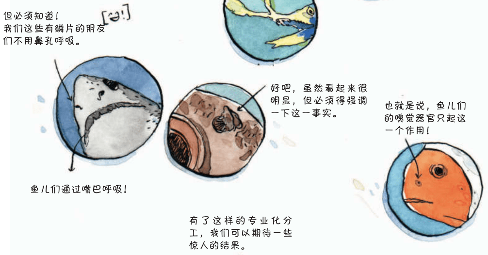 如果我们在水里放屁,鱼儿们会对我们有意见吗?丨蝌学荐书