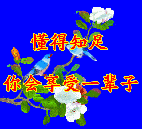 550_500gif 动态图 动图