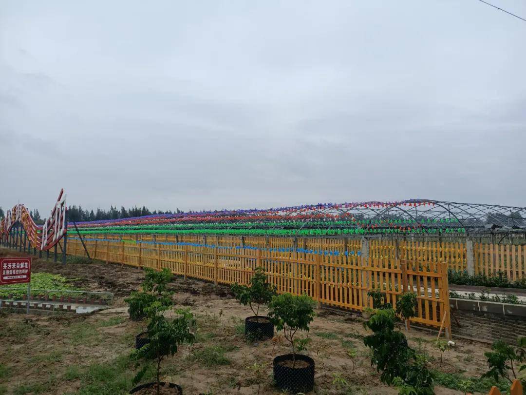 200亩四季果园福清倾力打造乡村振兴升级版