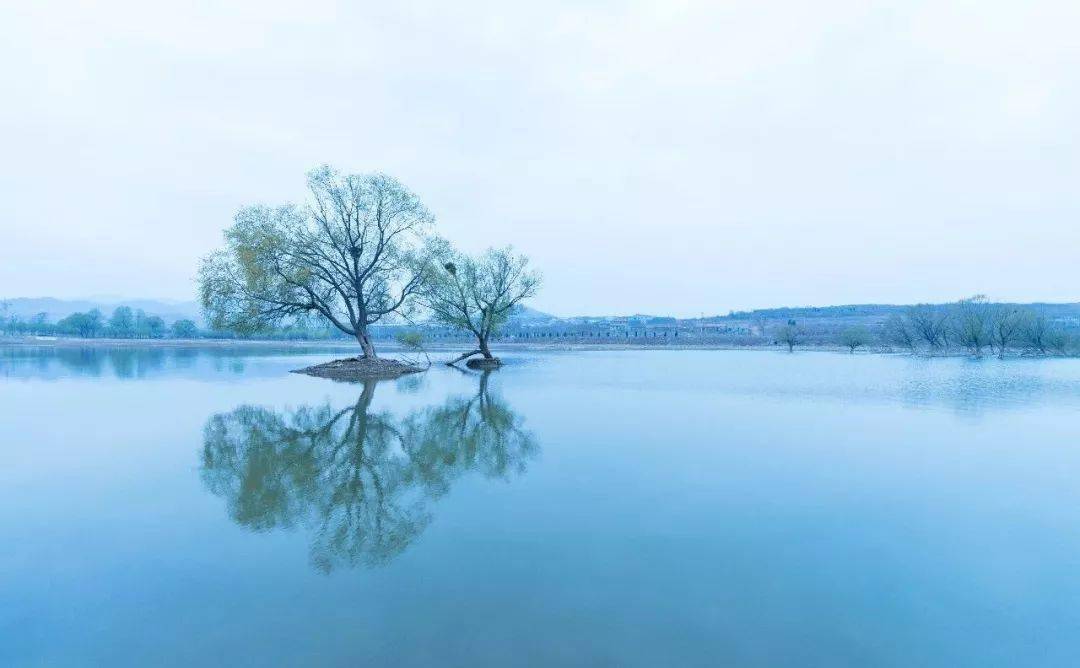 心态如兰,凡事才能看得通透_淡泊