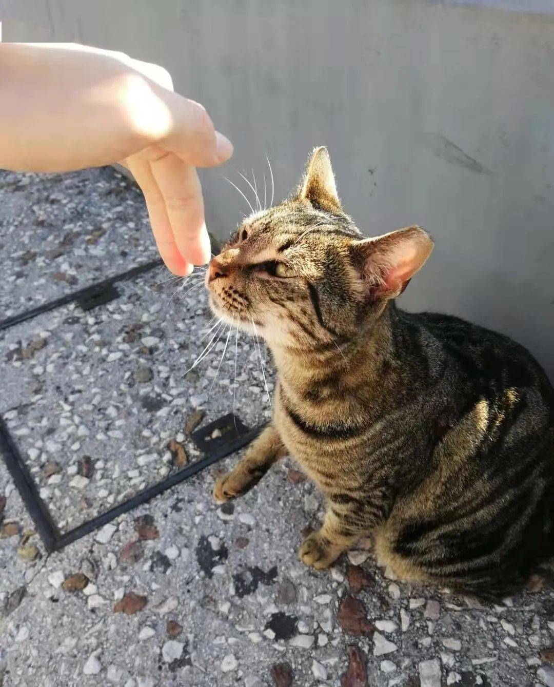 һλ�й���ѧ�������ŵ������:��豹���