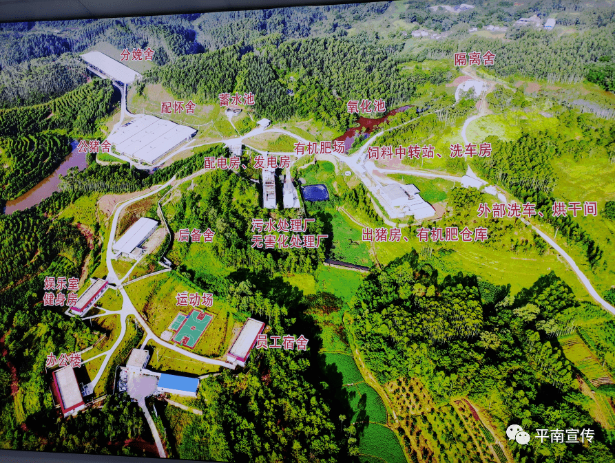平南生态公园的路线图图片