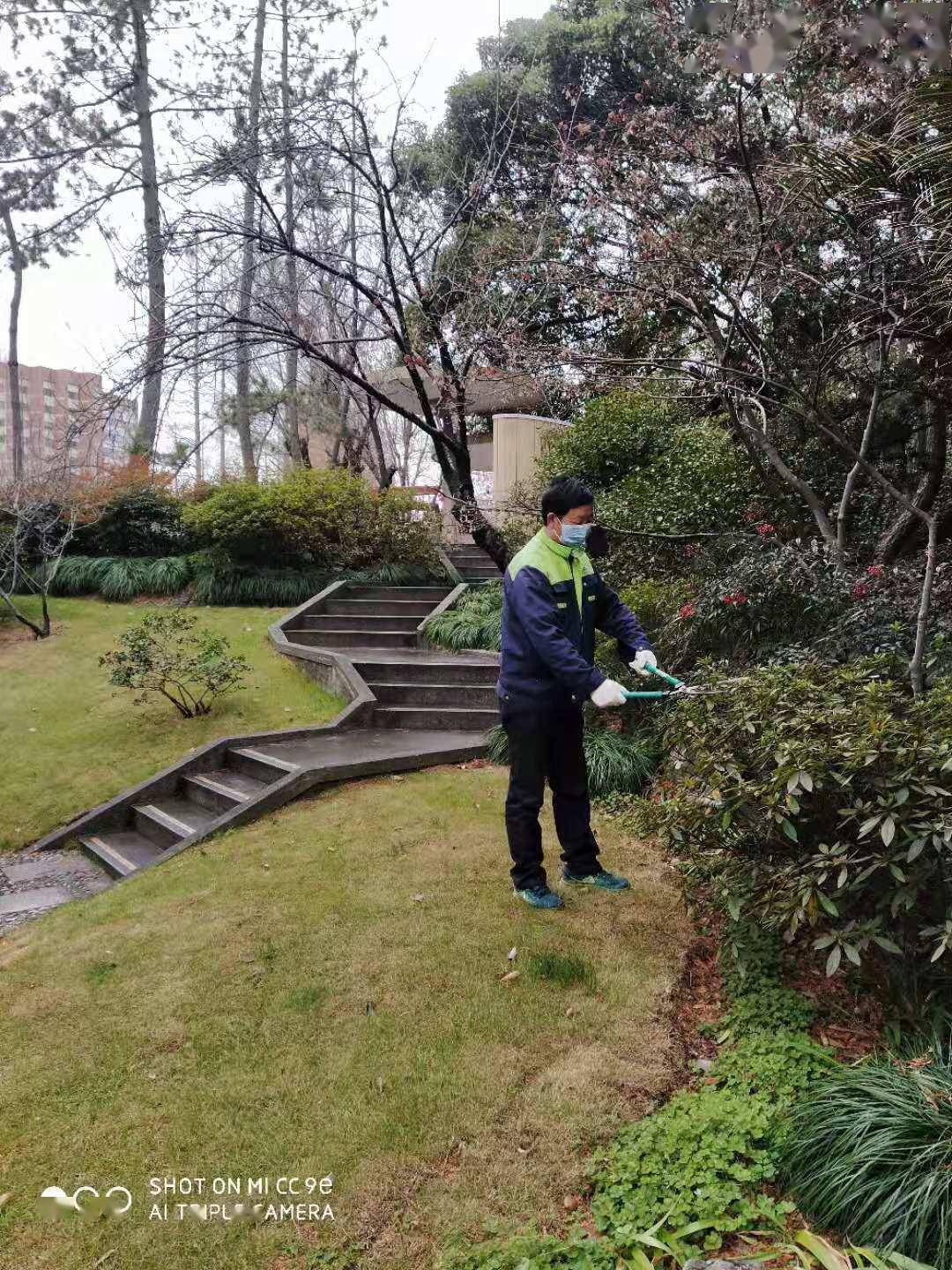 17岁开始守护复旦校园绿化护花骑士杨四保41年首次留校过年让校园美