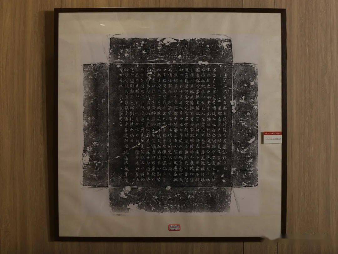 展品:唐《姚公墓志铭》展品:唐《杨郎将鱼君故妻墓志铭》展品:唐