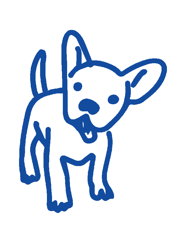 解放动物free The Animals 为保护动物立法的国家 虐待