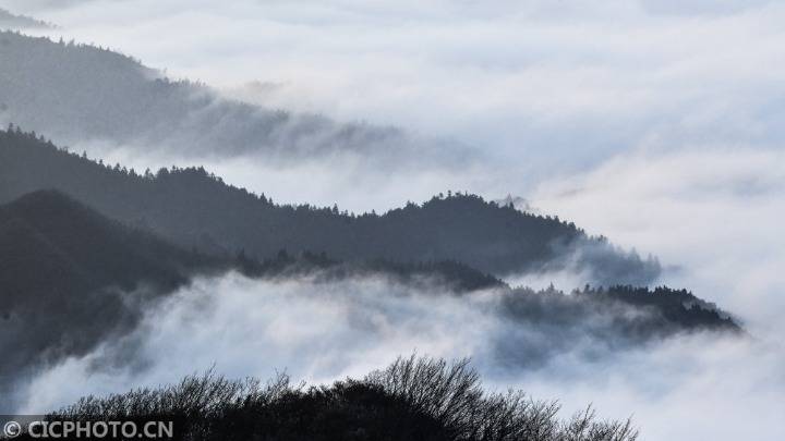 湖南省衡陽市常寧市天堂山上雲霧湧動,山巒,林木在雲霧中若隱若現