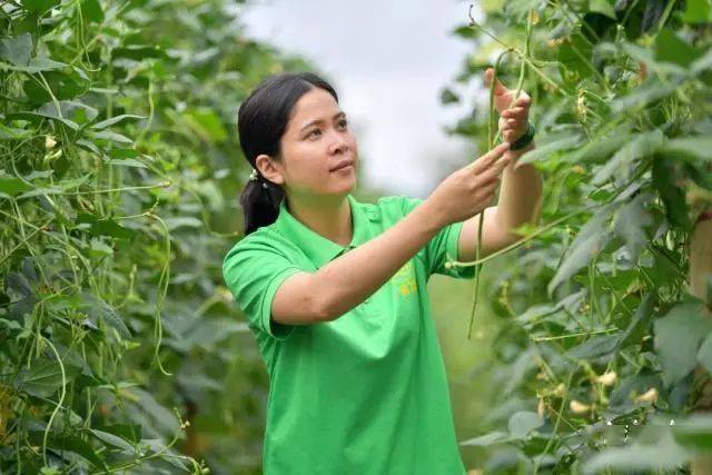 2020年12月中国好人榜榜单出炉肇庆市梁碧华上榜